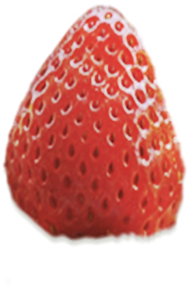 strawberry